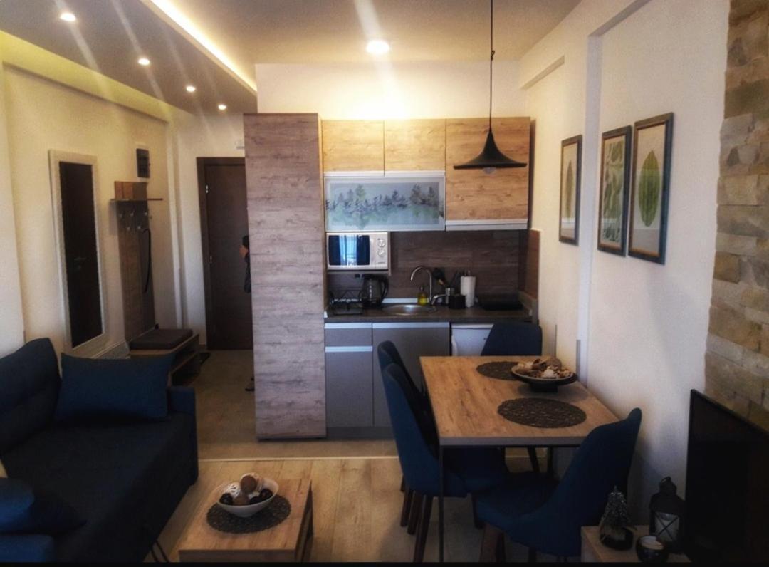 Apartament Kop Milmari P32 Kopaonik Zewnętrze zdjęcie