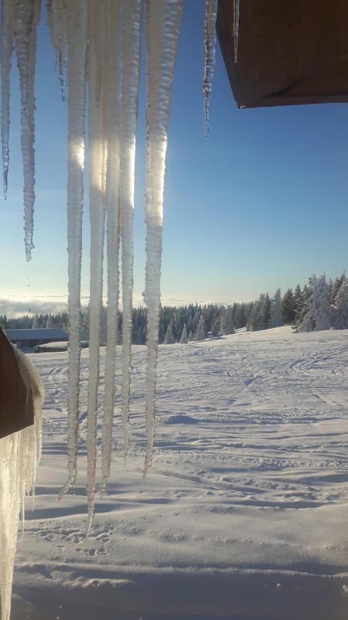Apartament Kop Milmari P32 Kopaonik Zewnętrze zdjęcie