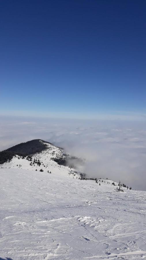 Apartament Kop Milmari P32 Kopaonik Zewnętrze zdjęcie
