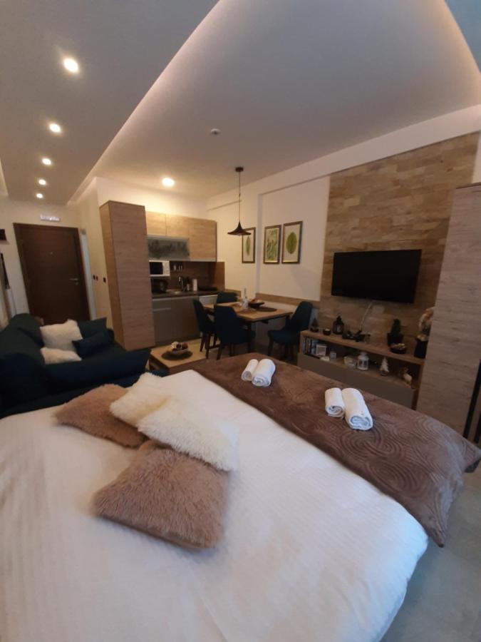 Apartament Kop Milmari P32 Kopaonik Zewnętrze zdjęcie